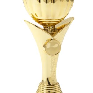 Economy trofee beker goud