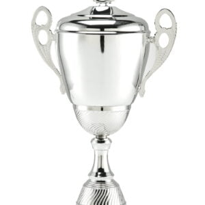 Luxe trofee classic zilver gestreept
