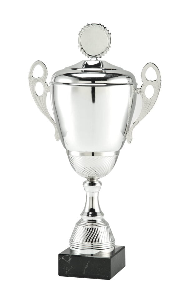 Luxe trofee classic zilver gestreept