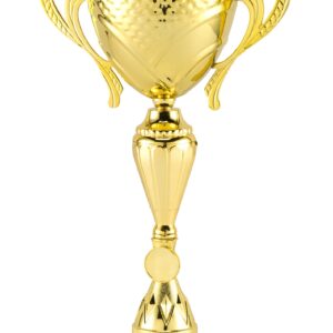 Medium trofee goud kelk