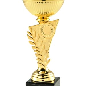 Trofee set goud kelk