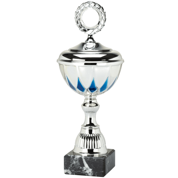 Medium trofee zilver/blauw streep klein